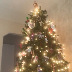 Meet your Posher, Jeanne